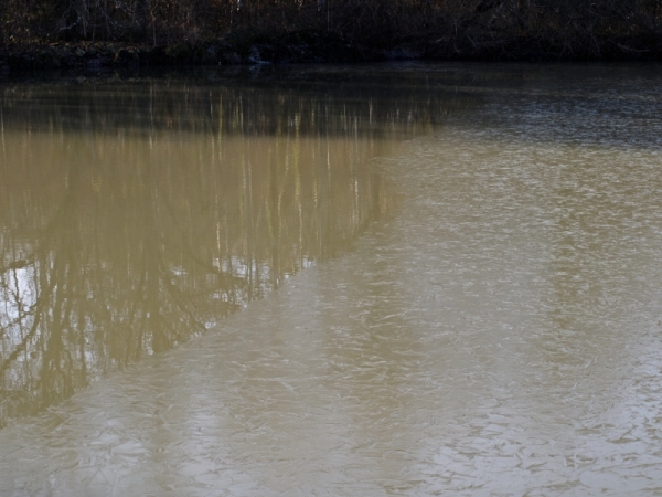 Etang gelé.jpg